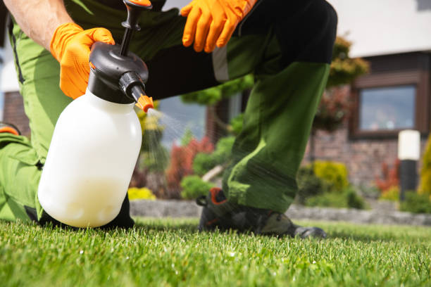 Professional Pest Control in Roswell, GA