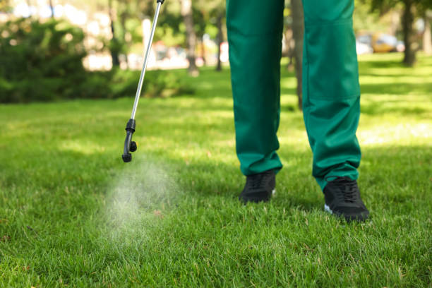 Best Cockroach Control Services  in Roswell, GA