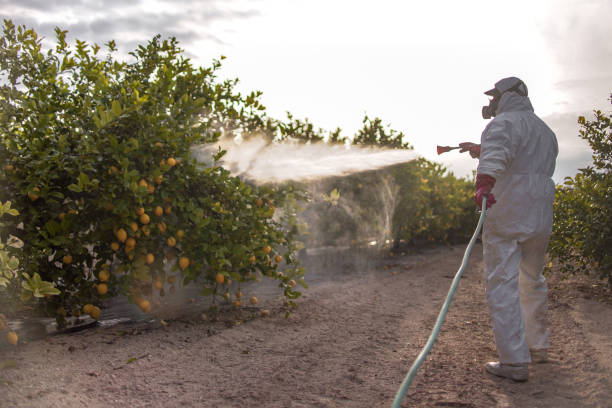 Best Commercial Pest Control Services  in Roswell, GA