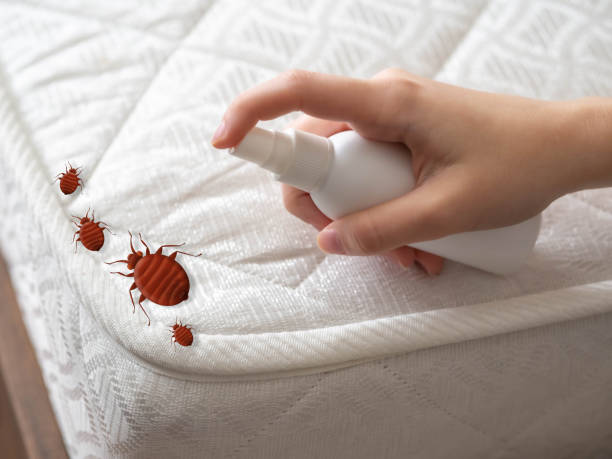 Best Affordable Pest Control Services  in Roswell, GA