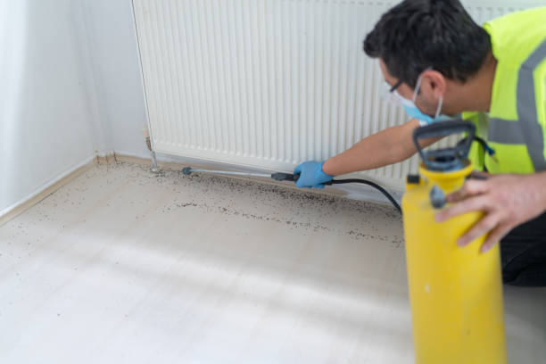 Best Ant Control Services  in Roswell, GA